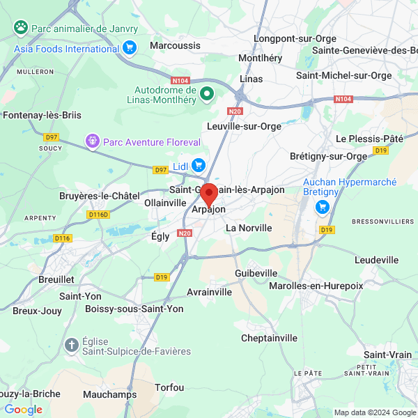 google map