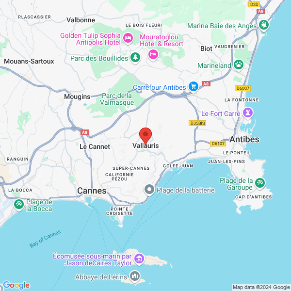 google map