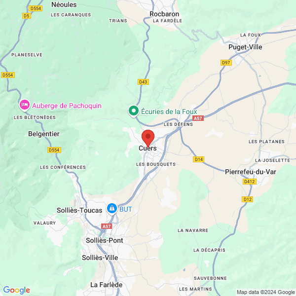 google map