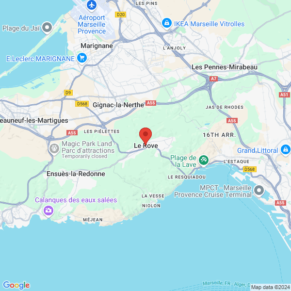 google map