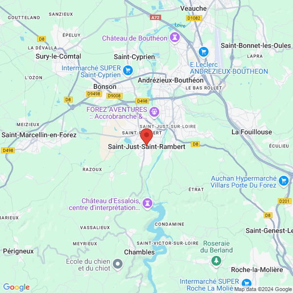 google map