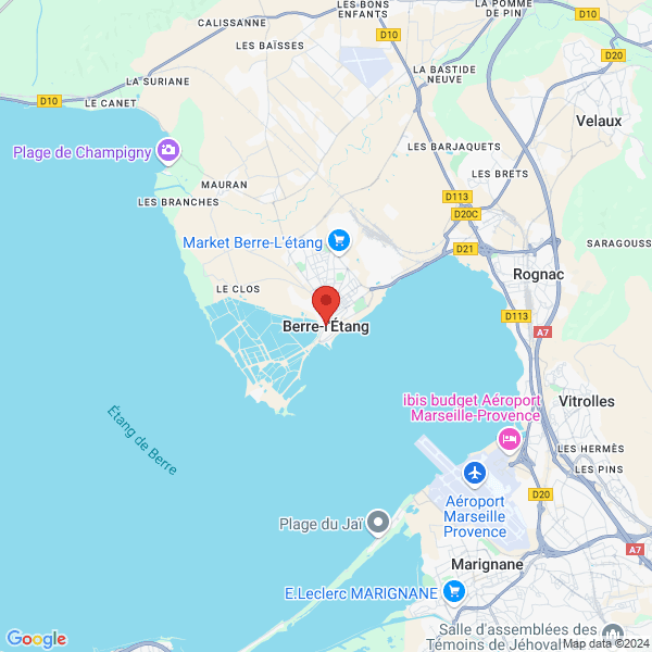 google map