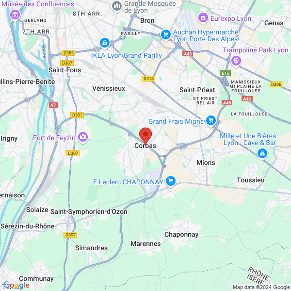 google map