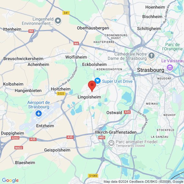 google map