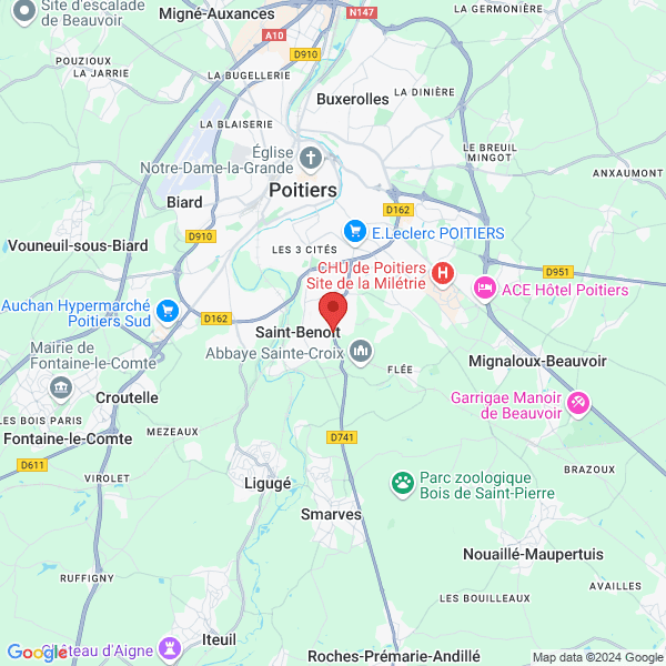 google map