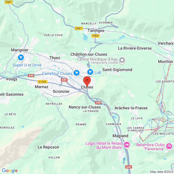 google map