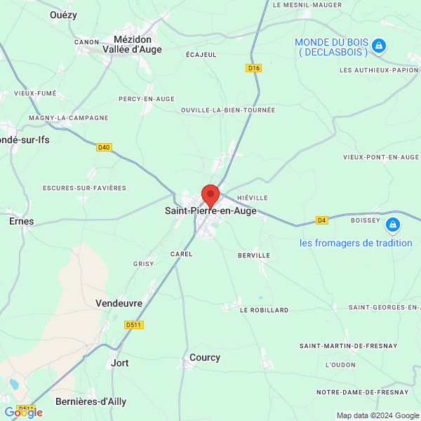 google map