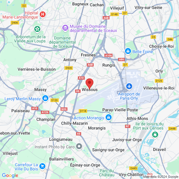 google map