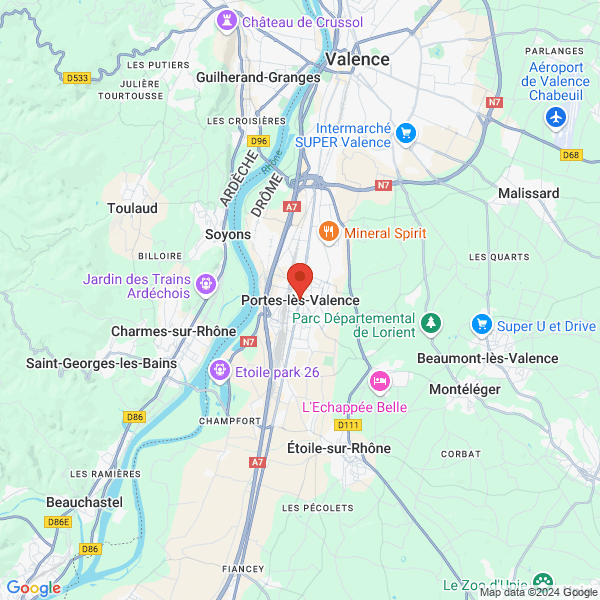 google map