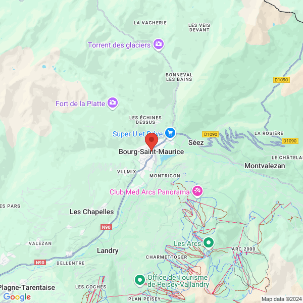 google map