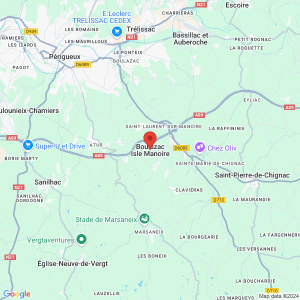 google map