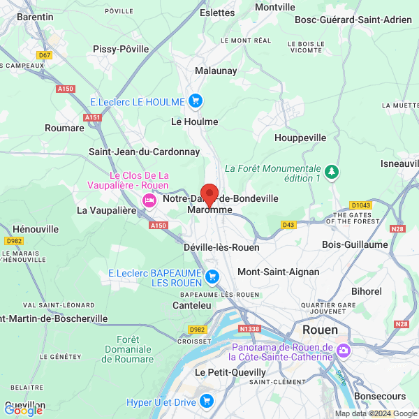 google map