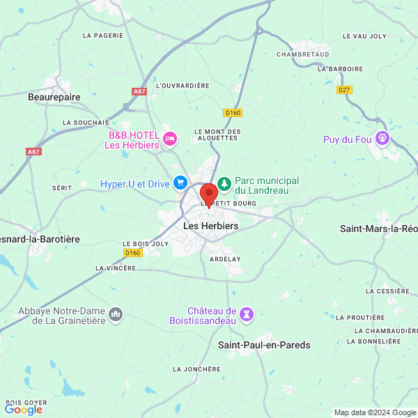 google map