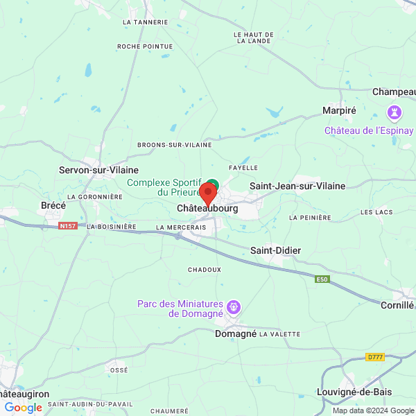 google map