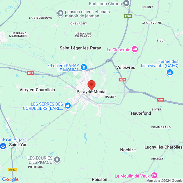 google map