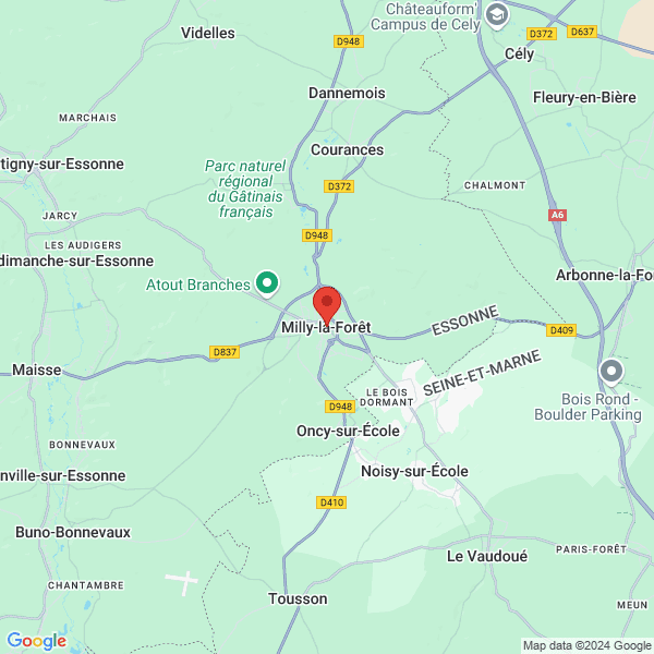 google map