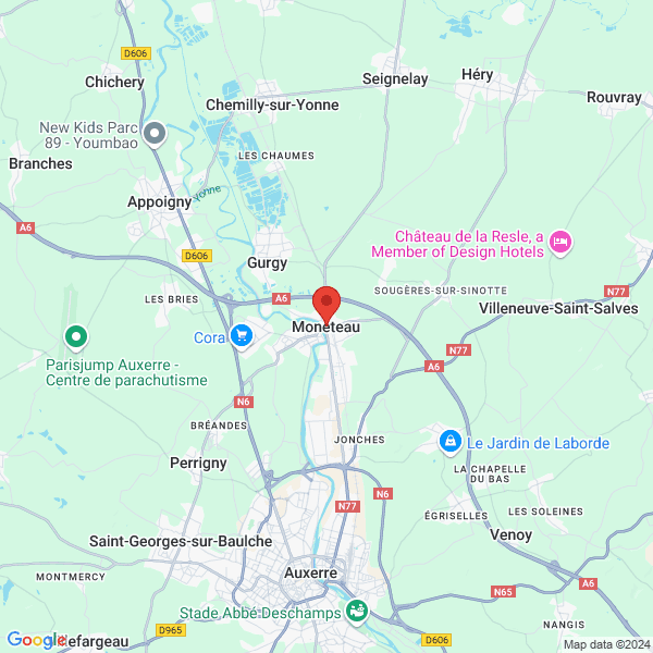 google map
