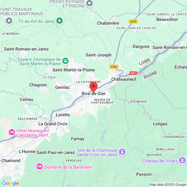 google map