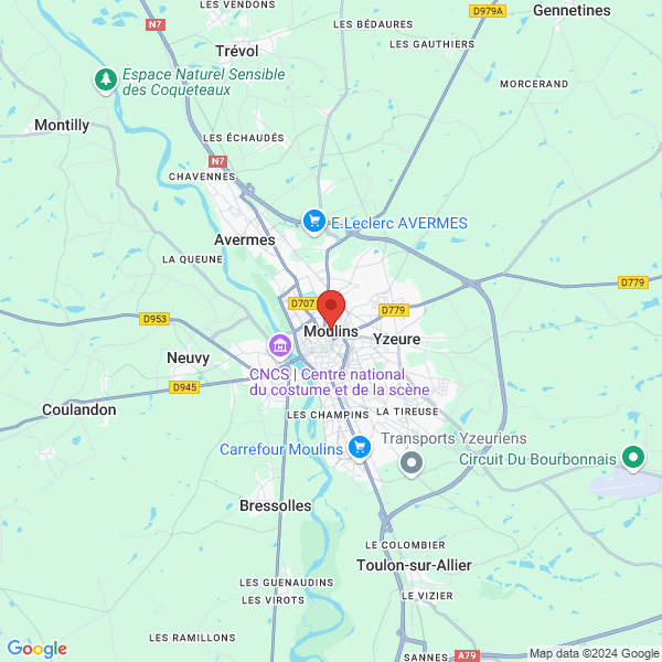 google map