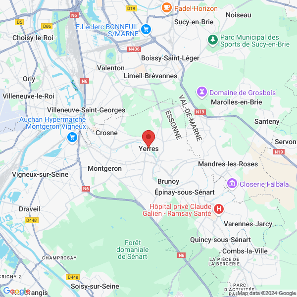 google map