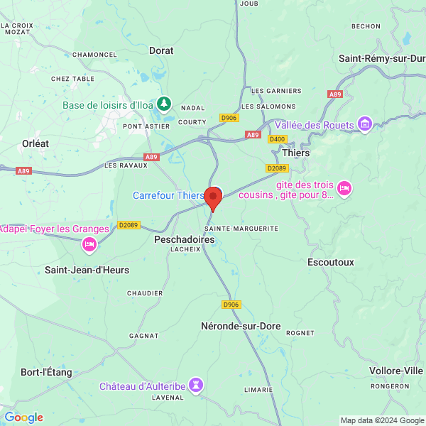 google map