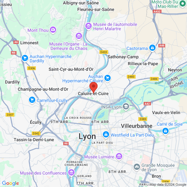 google map