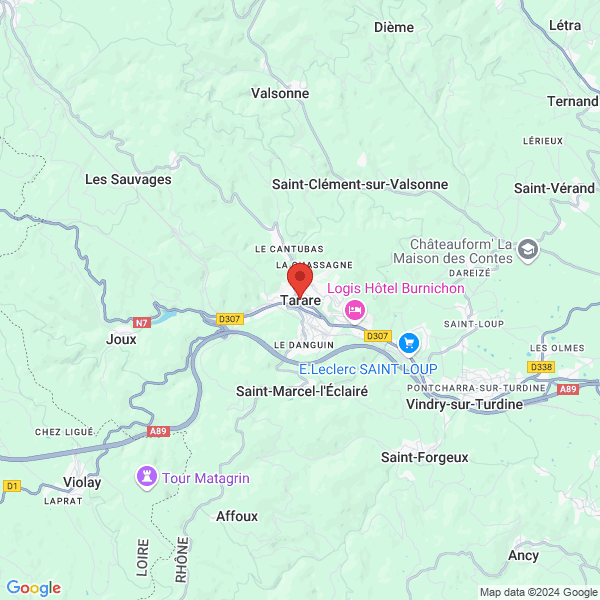 google map