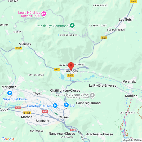 google map