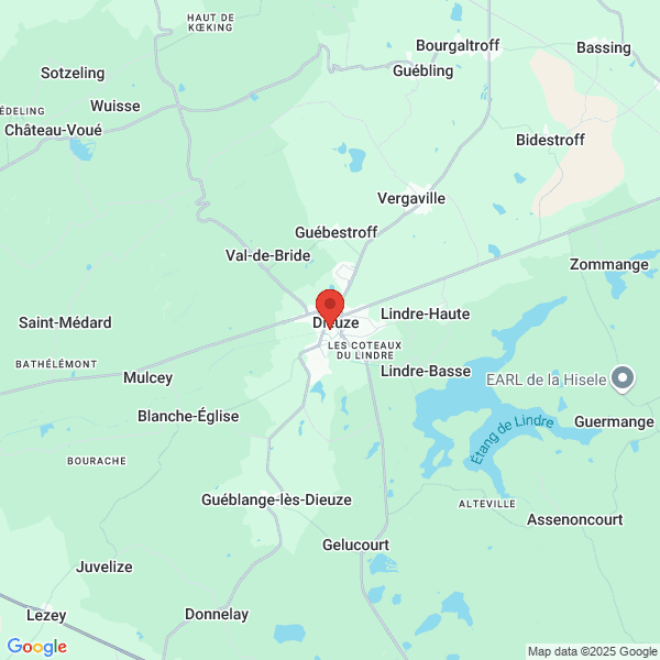 Dieuze - Google map