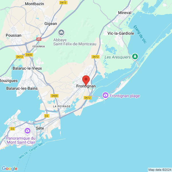 google map