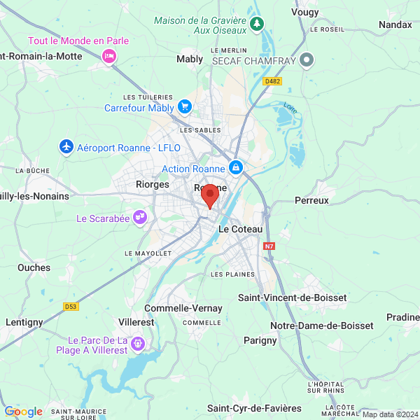google map