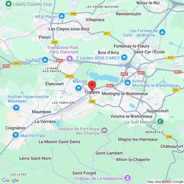 google map