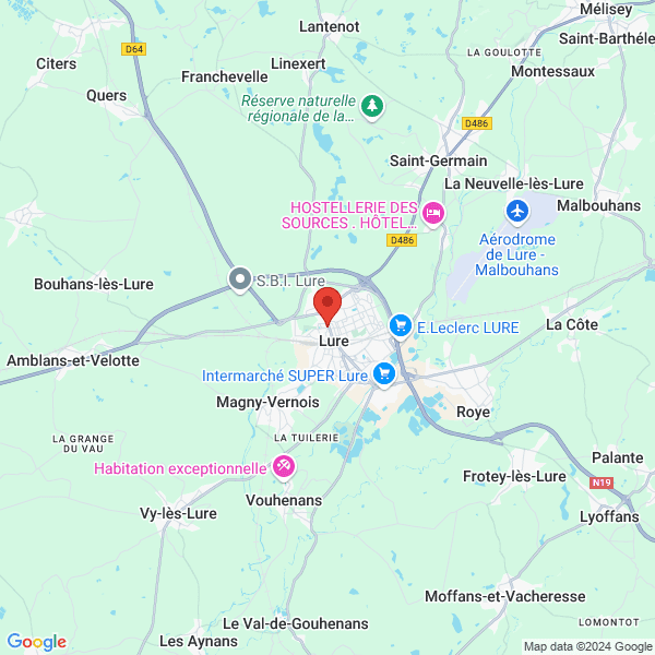 google map