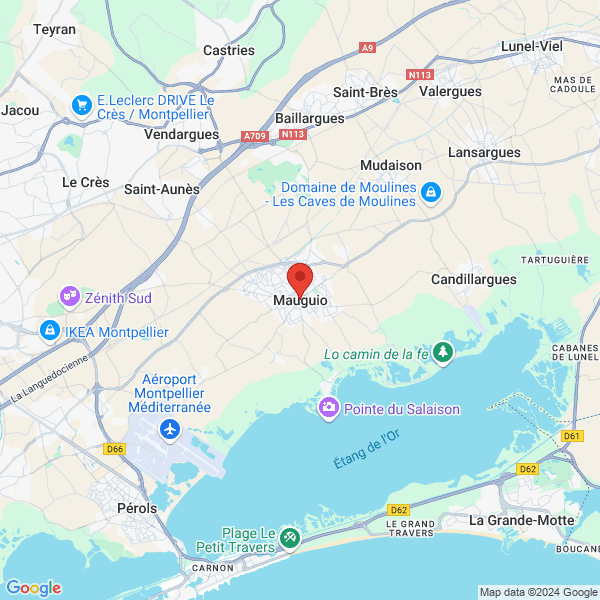 google map