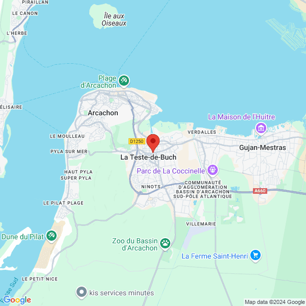 google map