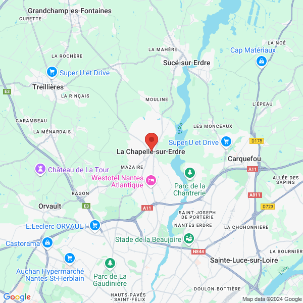 google map