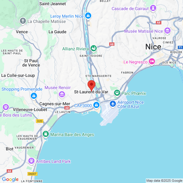 google map