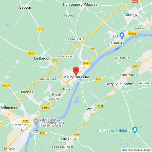 google map
