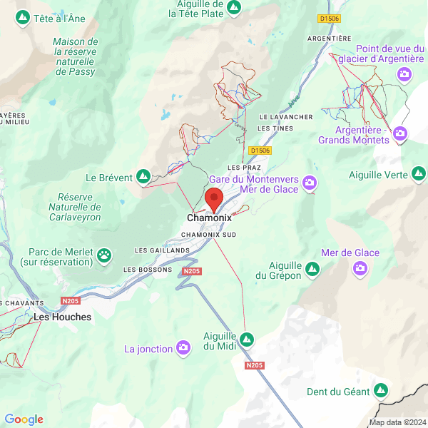 google map