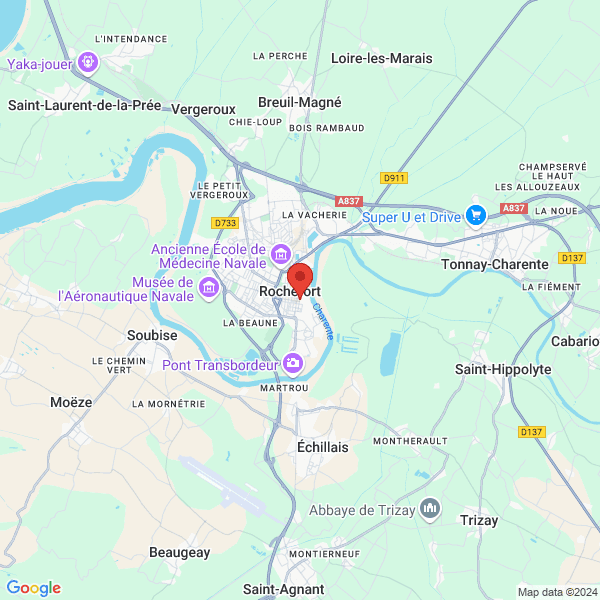 google map