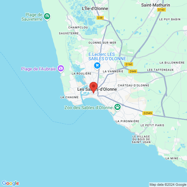 google map