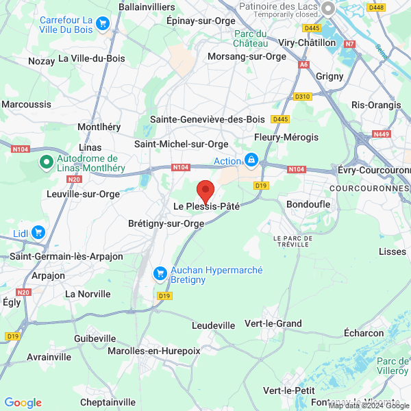 google map