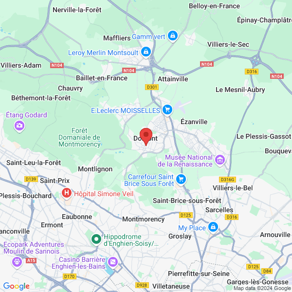 google map