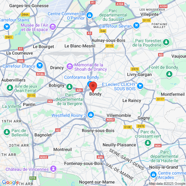 google map