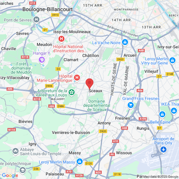 google map