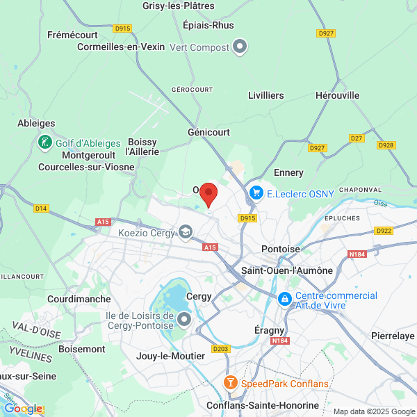 google map