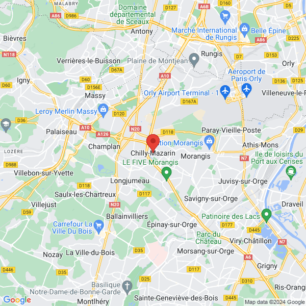 google map