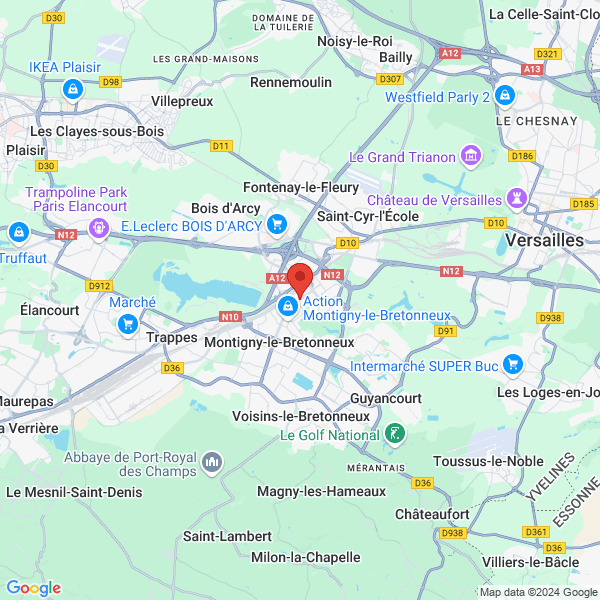 google map