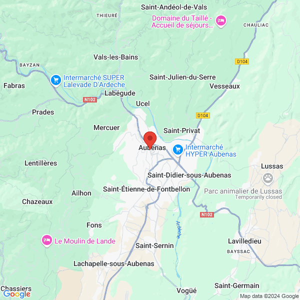 google map