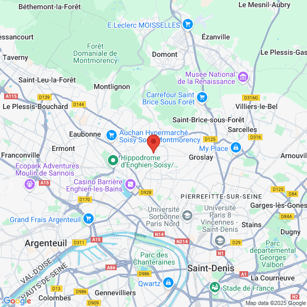 google map